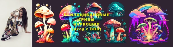 кокс Алексин
