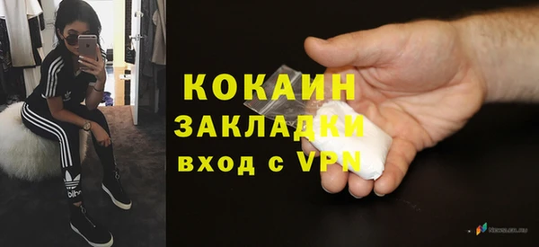 кокс Алексин
