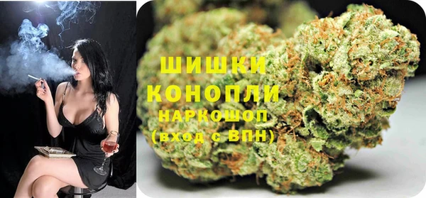 ГАЛЛЮЦИНОГЕННЫЕ ГРИБЫ Алзамай