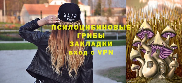 ГАЛЛЮЦИНОГЕННЫЕ ГРИБЫ Алзамай