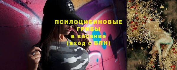 кокс Алексин