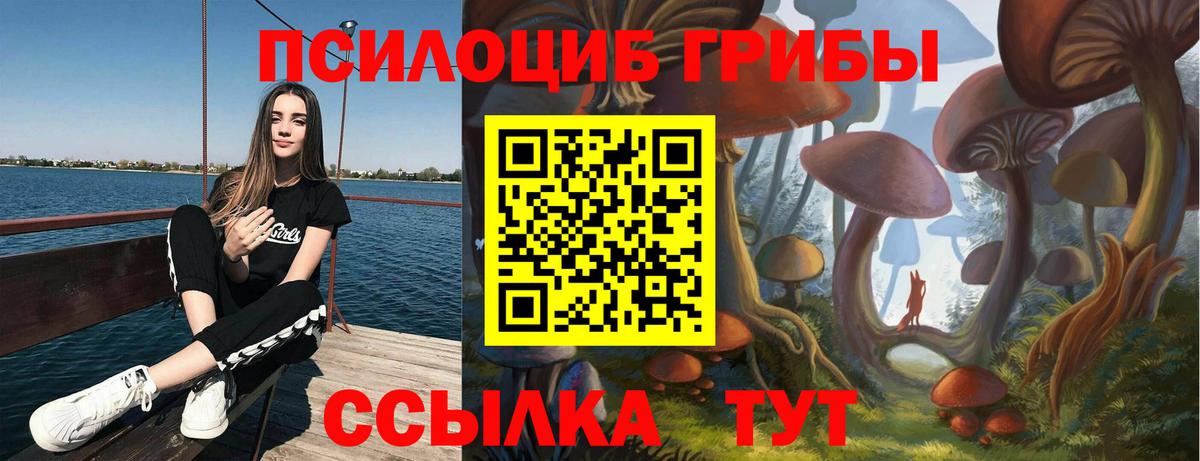 Псилоцибиновые грибы ЛСД  Вход с VPN  Строитель  Псилоцибиновые грибы Psilocybe 